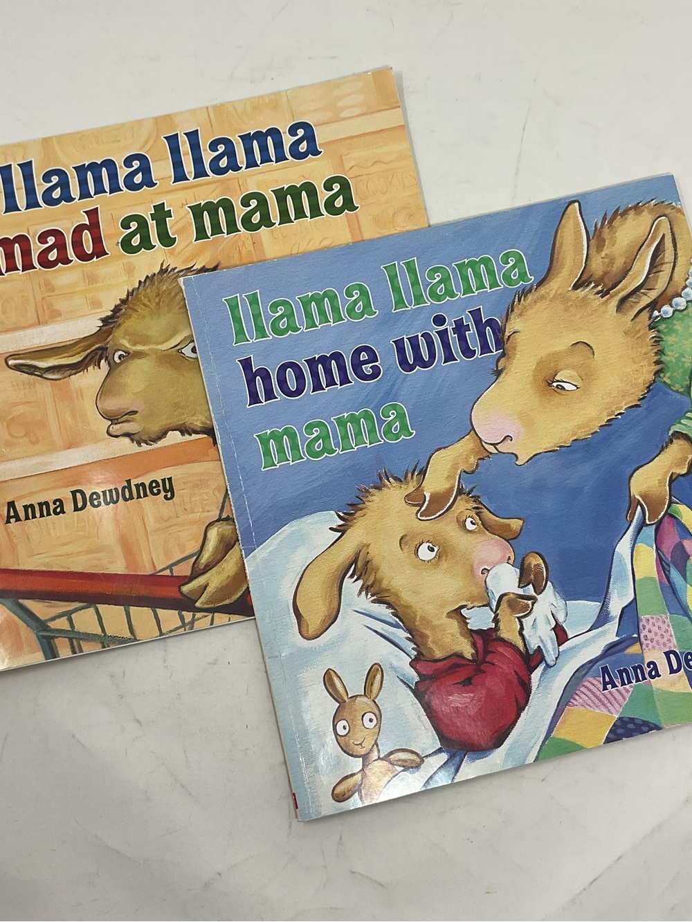 Scholastic Llama Llama Home With Mama - Blue & Green Cover
